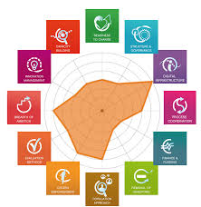 مدل SCROCCO در مدیریت بحران